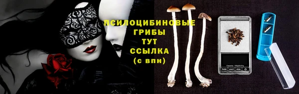 прущая мука Арсеньев