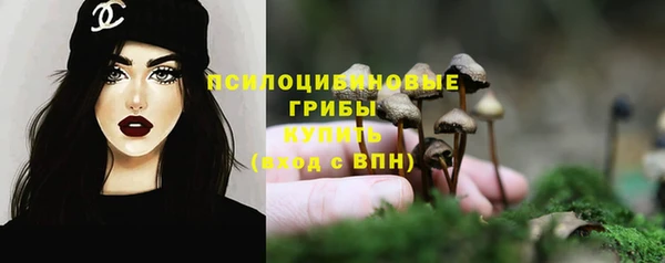 бошки Армянск