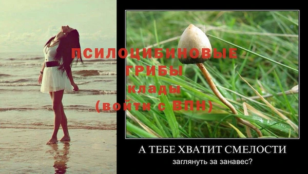 прущая мука Арсеньев