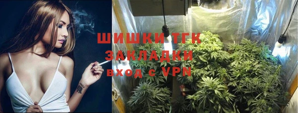 прущая мука Арсеньев
