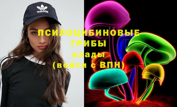 спайс Аркадак