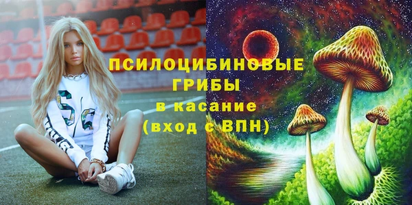 спайс Аркадак